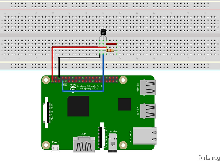 raspberry pi pico with ds18b20